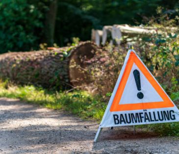 Warning sign with German text reading tree felling (Baumfällung) in front of a logged tree trunk. Concepts of forestry, arboriculture or deforestation. Attention to the danger from tree cutting work.